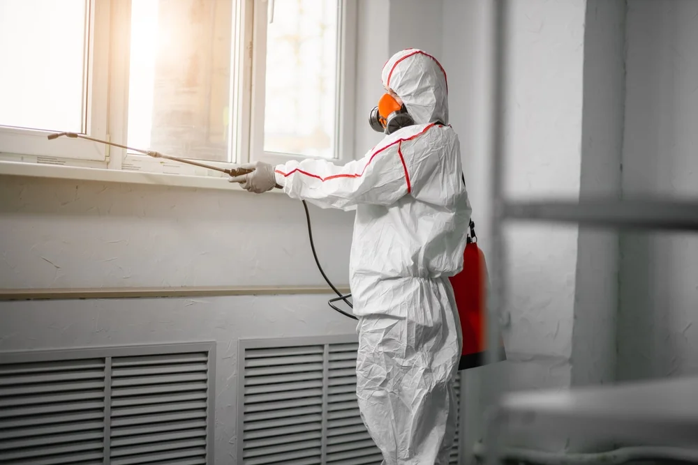 Professional mold remediation services in Morgantown, IN